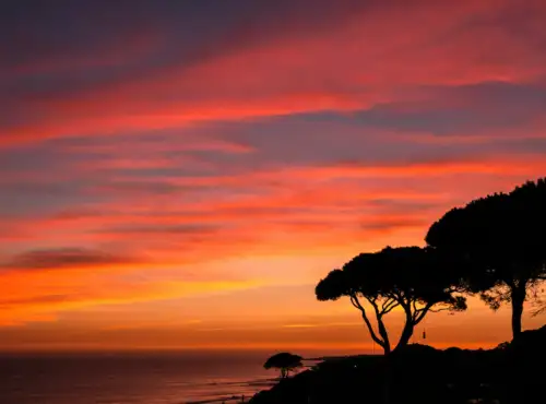 grief counselling central coast
