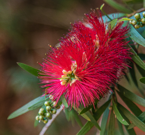 hypnotherapy for pain management central coast PAIN MANAGEMENT PAIN RELIEF CHRONIC PAIN MANAGEMENT BACK PAIN