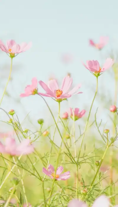 j-lee-0lL6Sox7n1Y-unsplash 2 anxiety trauma ptsd stress depression self esteem