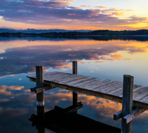 Illness and Disease trauma Stress PTSD trauma and Stress