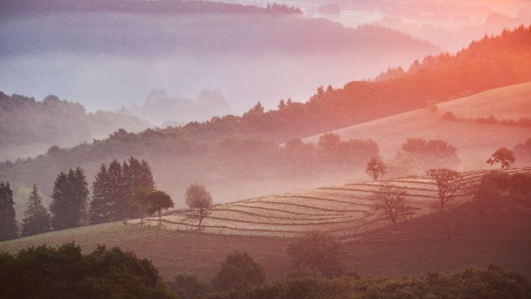 Reiki Healing is an ancient art for healing the self