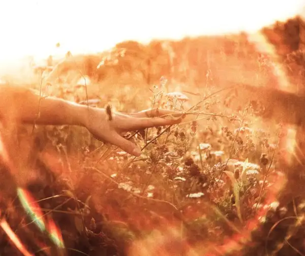 trauma-healing-emdr-Umina-beach trauma-healing-emdr-Umina-beach