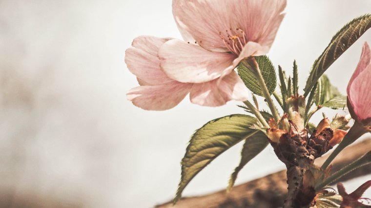 Hypnotherapy and its misconceptions