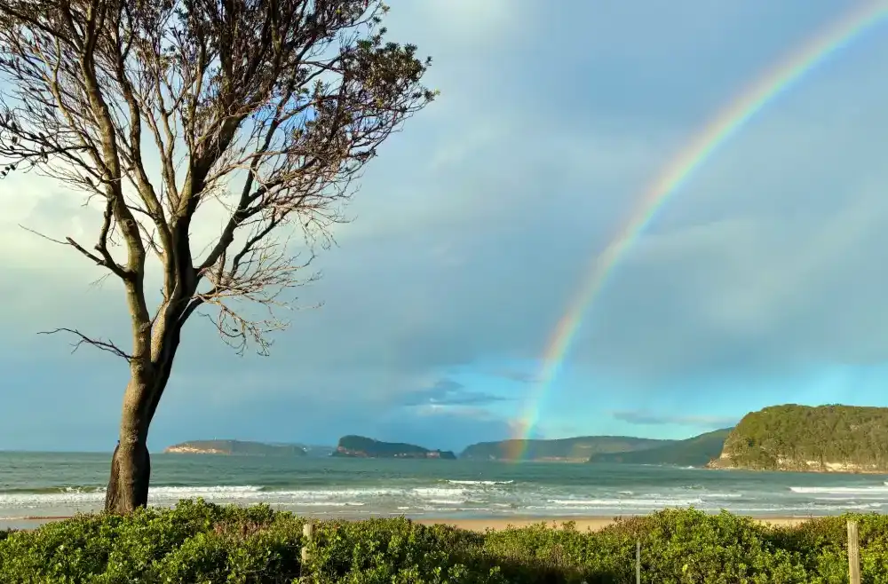 trauma counselling in Ettalong Beach