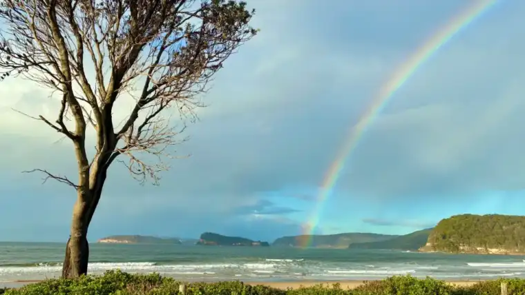 trauma counselling in Ettalong Beach