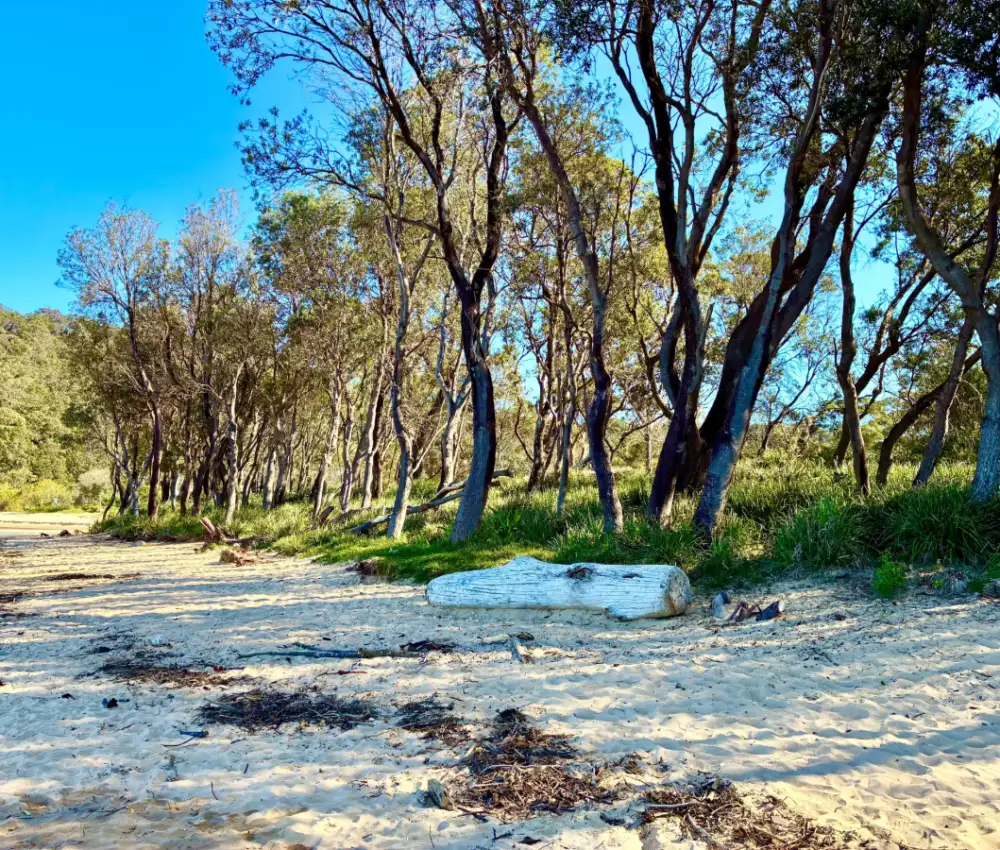 holistic-counselling-umina-beach-session Holistic Counselling session bookings in Umina Beach.