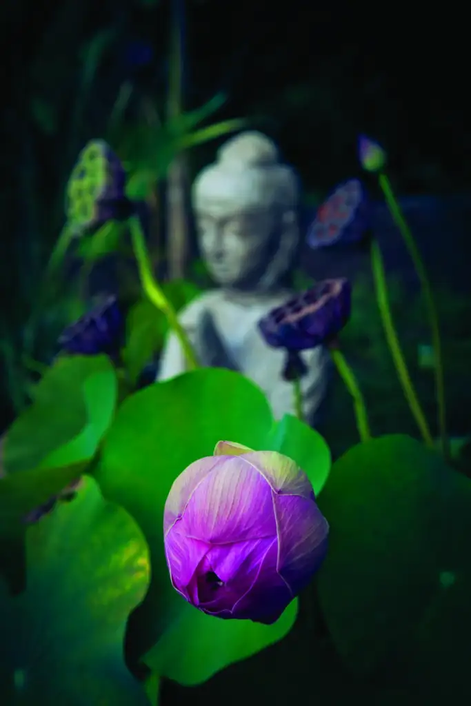 Energy healing therapy session Central Coast