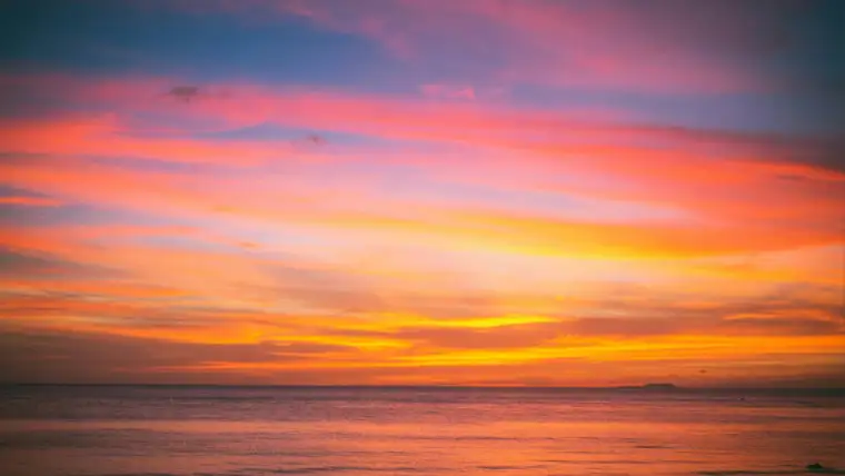 Animal Reiki Ettalong Beach and surrounding areas.