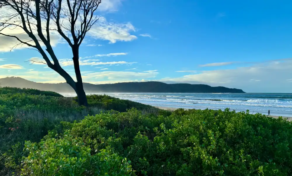 Reiki Healing and Energy Healer near me Ettalong Beach central coast