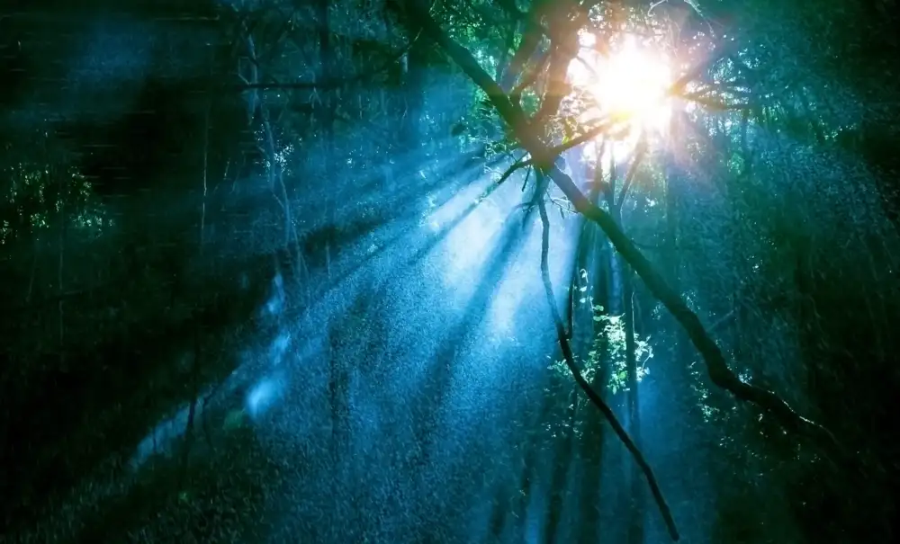 Grief and Loss Holistic Counselling for the healing of the soul.