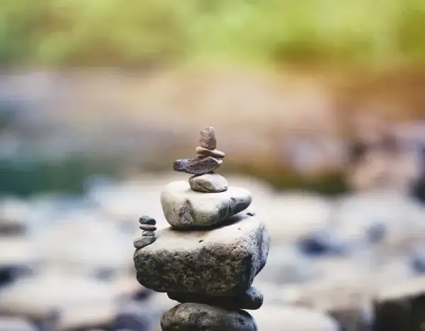 Grief and Loss Counselling sessions for healing.