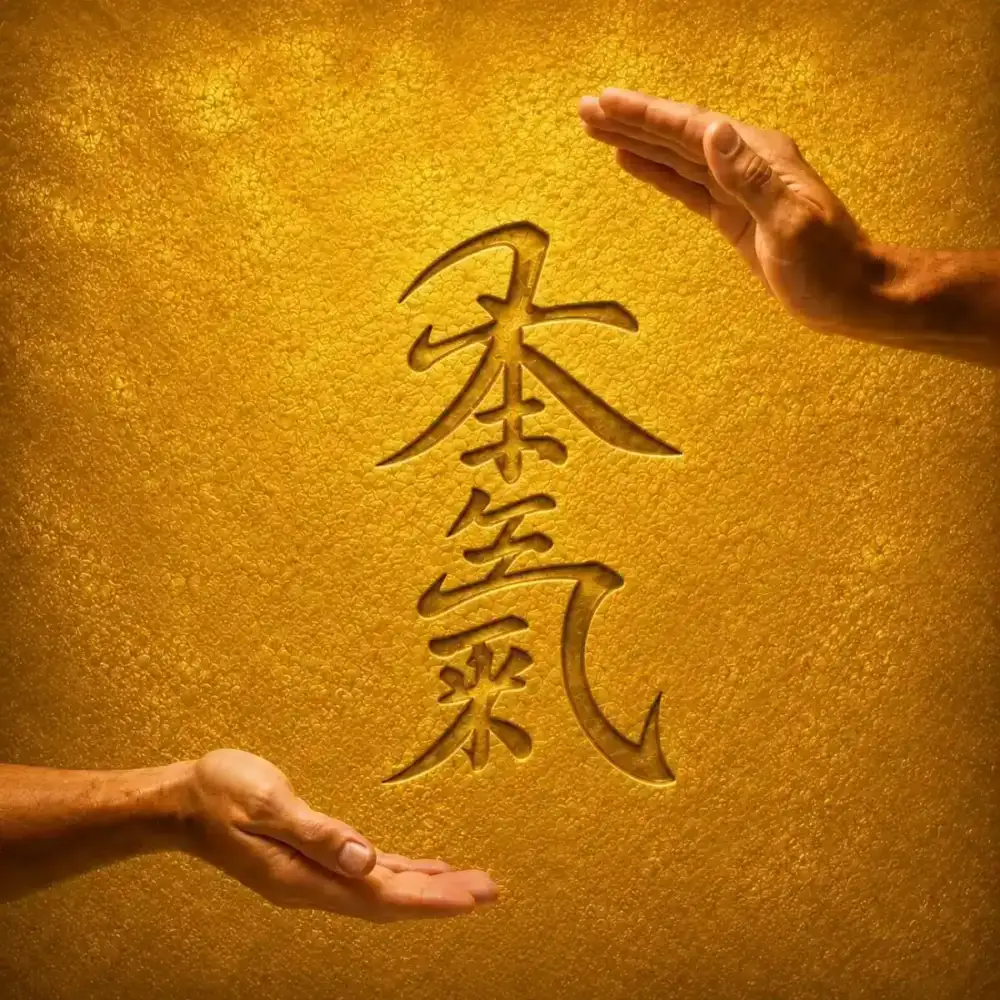 Reiki Healer Central Coast Ettalong Beach reiki symbol.